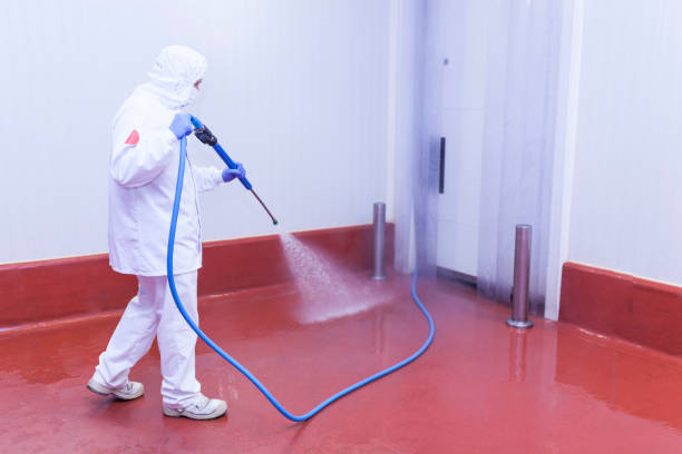 Trusted Burns, TN  Pressure Washing Services Experts